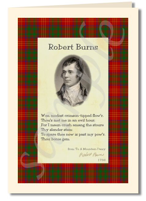 Robert Burns - extract from to a mountain daisy greeting card